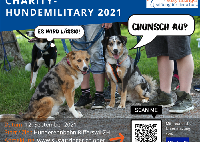 Charity Dog Military 2021