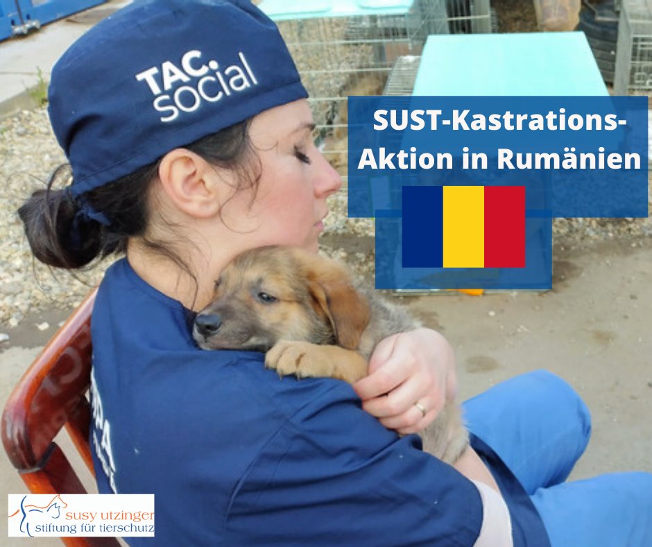 SUST-Kastrationsaktion in Rumänien