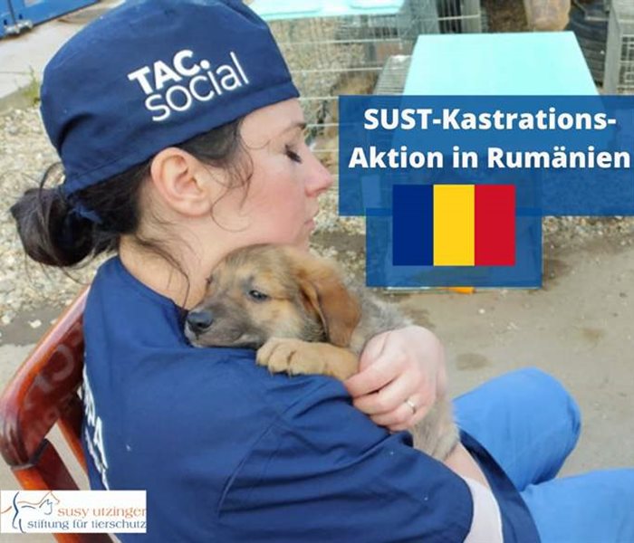 SUST-Kastrationsaktion in Rumänien