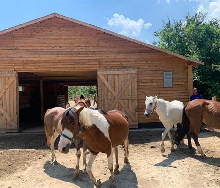 Update on the successful crowdfunding for the new stable