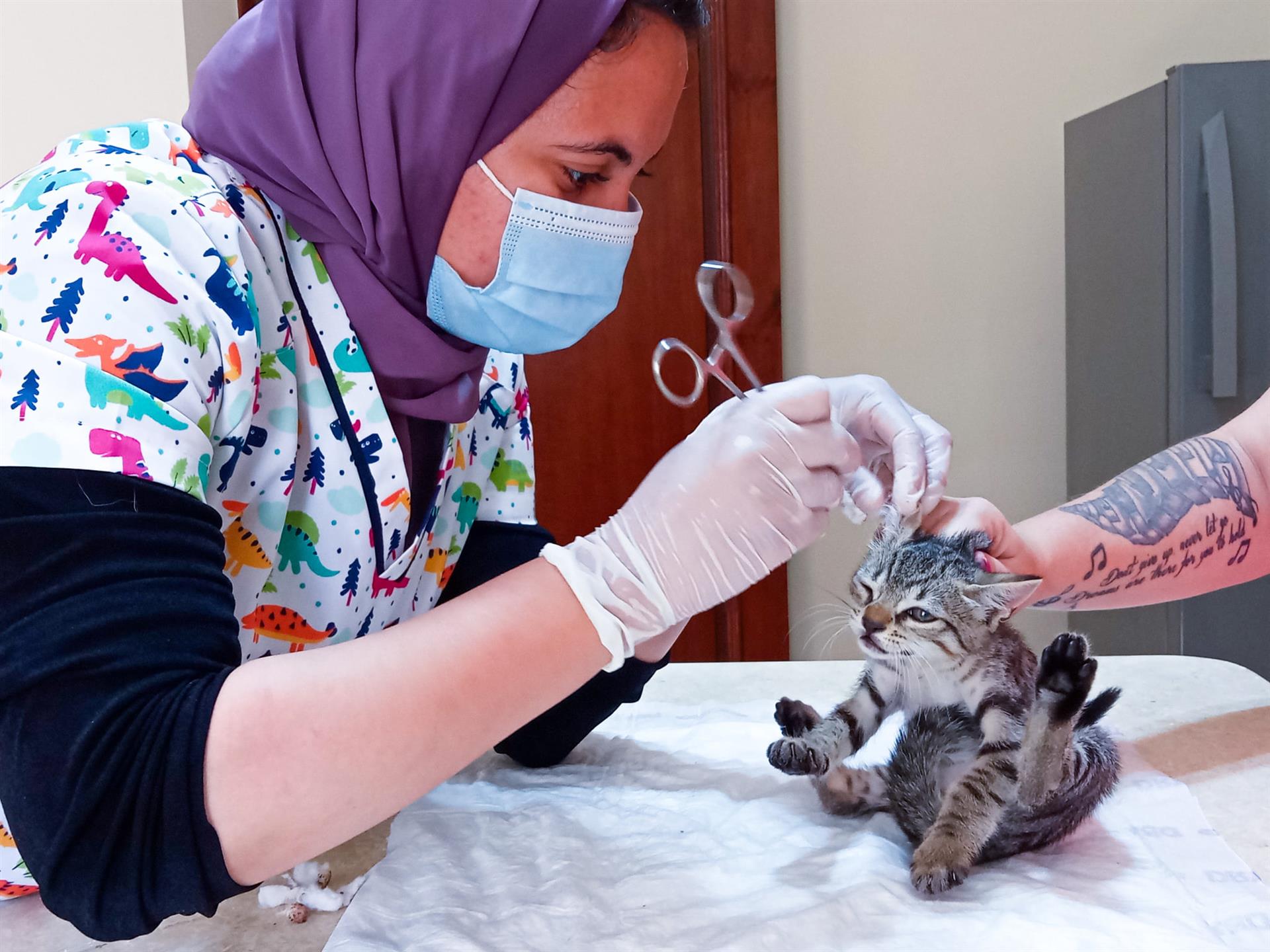 SUST Strassenkatzen-Klinik Hurghada