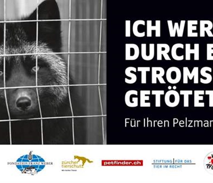 STOP FUR: Please do without fur products!
