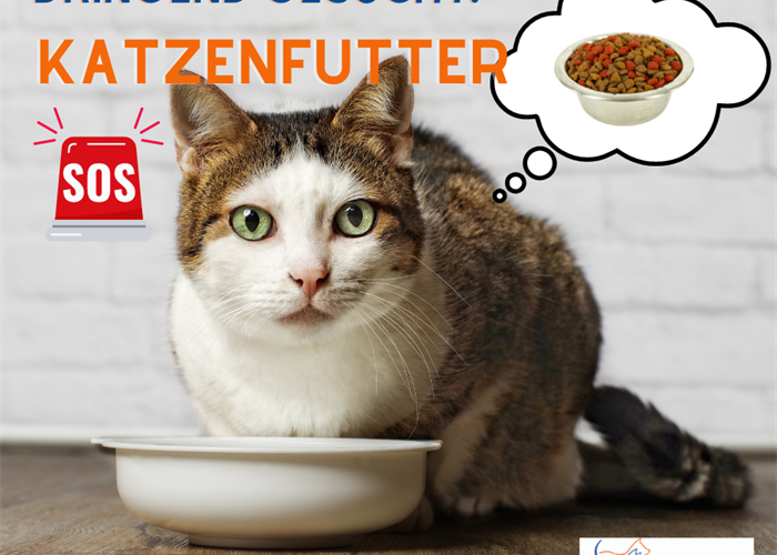 Urgently sought: cat food