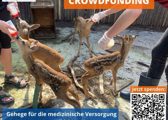Crowdfunding für Wildtiergehege