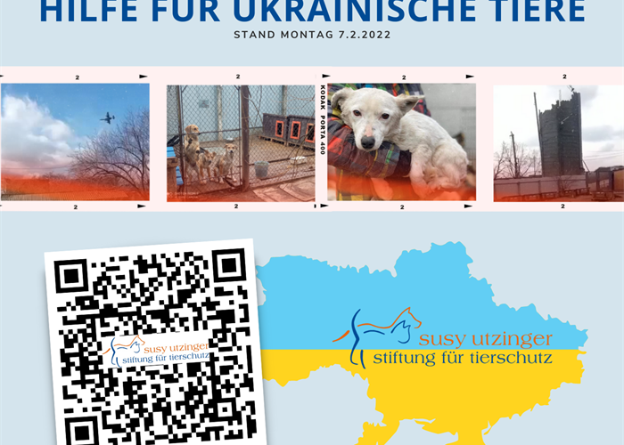 🇺🇦 Hilfe für ukrainische Tiere ❣️