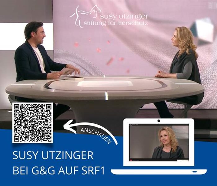 Susy Utzinger zu Gast bei SRF Sendung G&G