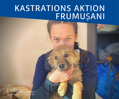 ++ Kampagnen-Report von unserer Kastrations-Aktion in Frumușani, Rumänien ++