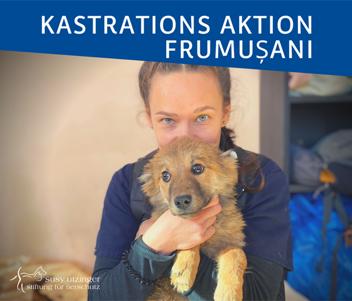 ++ Kampagnen-Report von unserer Kastrations-Aktion in Frumușani, Rumänien ++