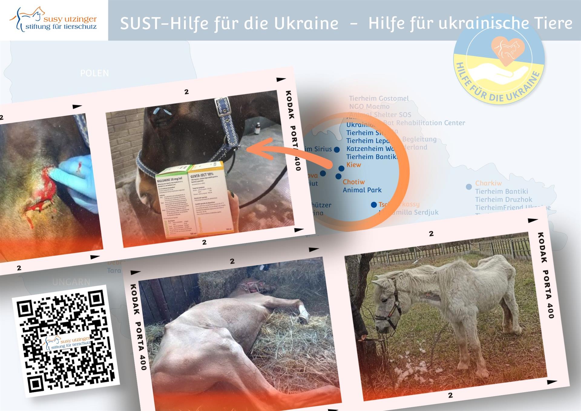 Soforthilfe für Pferde in der Ukraine!