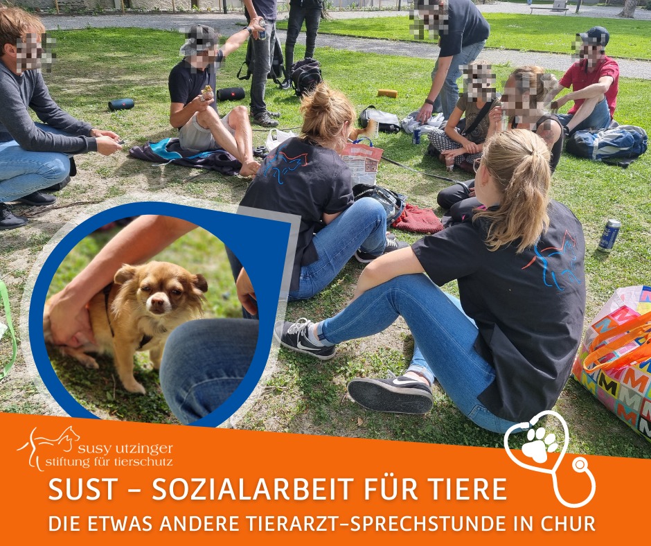 SUST social work for animals