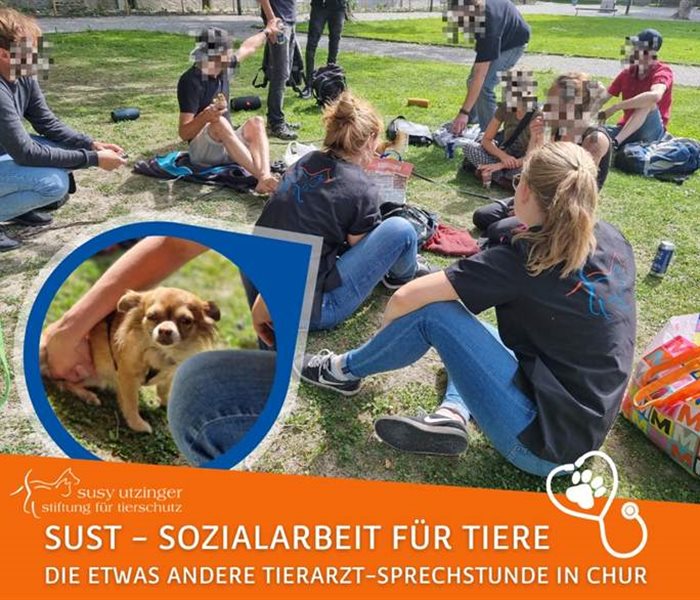 SUST social work for animals