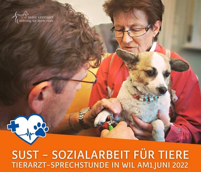 SUST social work for animals in Wipp Wil, SG