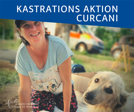 ++ Kampagnen-Report von unserer Kastrations-Aktion in Curcani, Rumänien ++