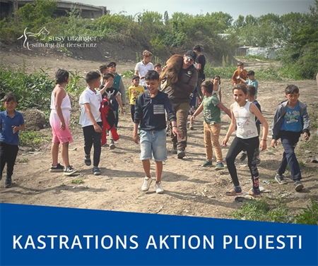 ++ Kampagnen-Report von unserer Kastrationsaktion in Ploiesti, Rumänien ++
