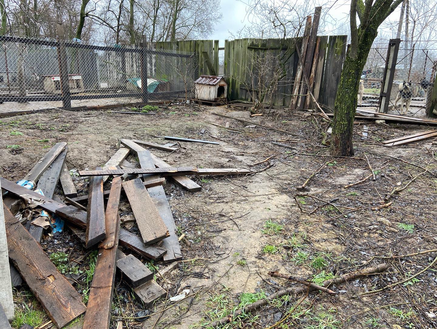 Crowdfunding für 50 Holz-Hundehütten im Tierheim Gostomel bei Kiew, Ukraine
