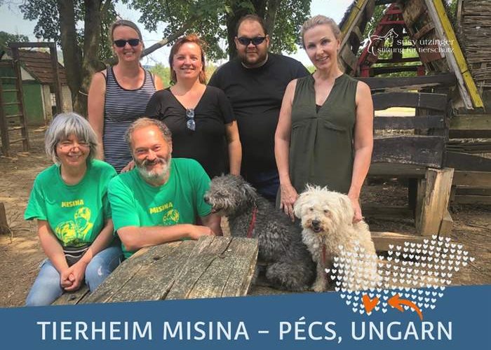 Besuch im Tierheim Misina in Ungarn