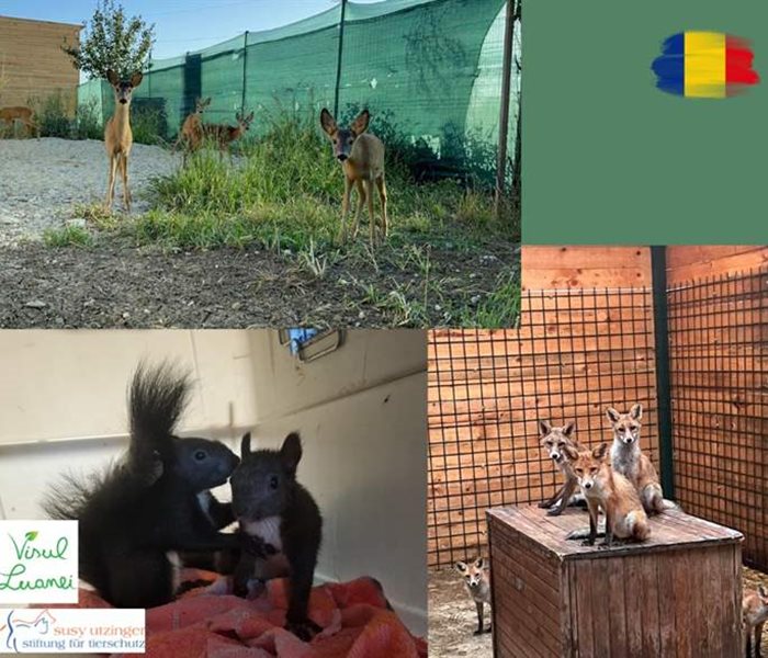 Im Wildlife Rehabilitations Center "Luanas Dream"...