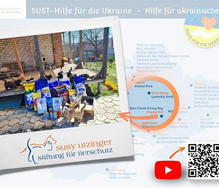 Unterstützung für Tierheime in der Ukraine...