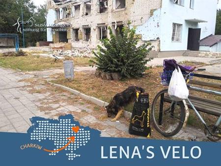 Lena's Velo...