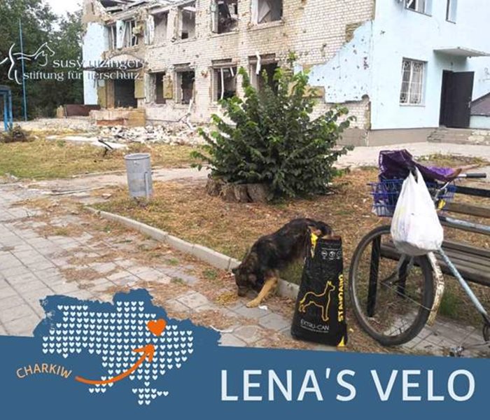 Lena's Velo...