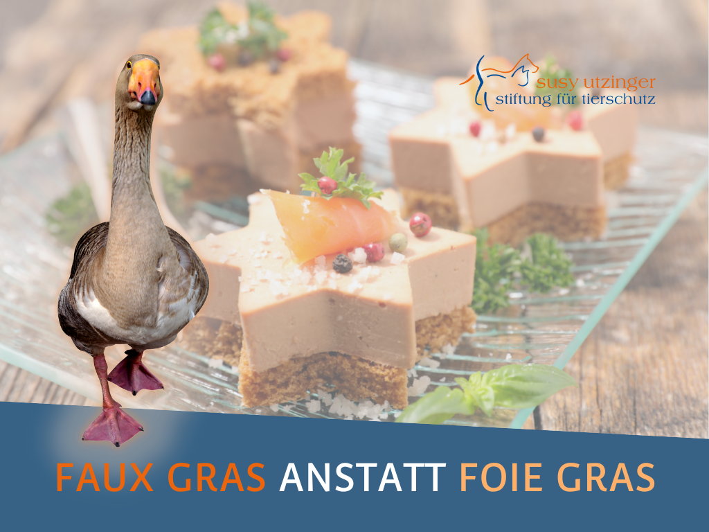Foie gras is one of the worst torture products!
