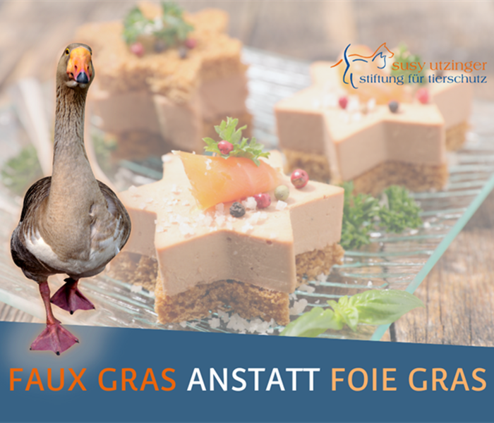 Foie gras is one of the worst torture products!