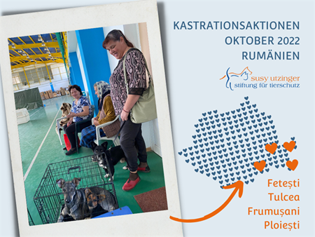 ++ Rapports de campagne d'octobre 2022 de nos actions de stérilisation en Roumanie ++