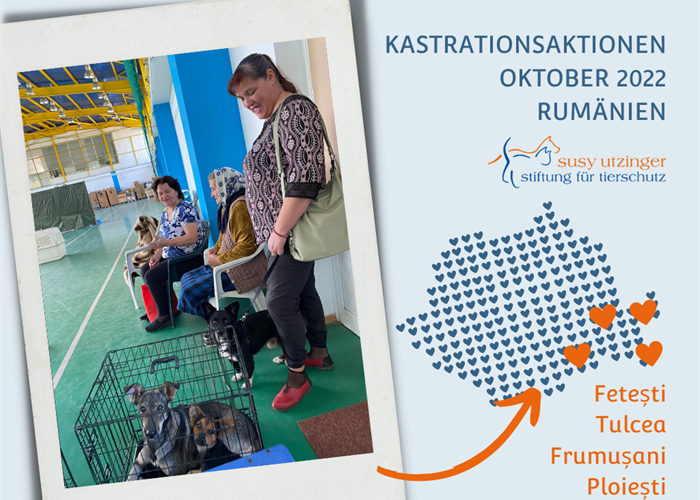 ++ Campaign reports October 2022 of our spay and neuter campaigns in Romania ++