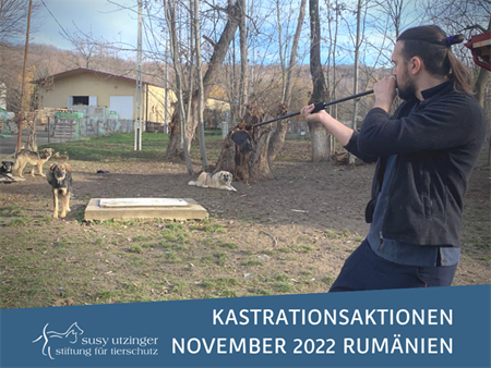 ++ Campaign-Report November 2022 of our spay and neuter campaigns in Romania++
