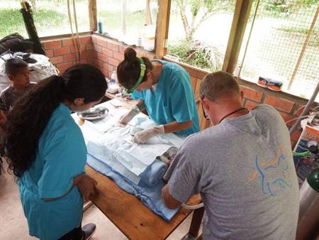 Kastrationsaktion im SUST Orphan Animal Hospital in Peru