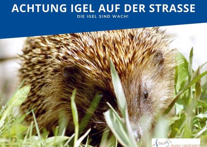 Achtung: Igel!