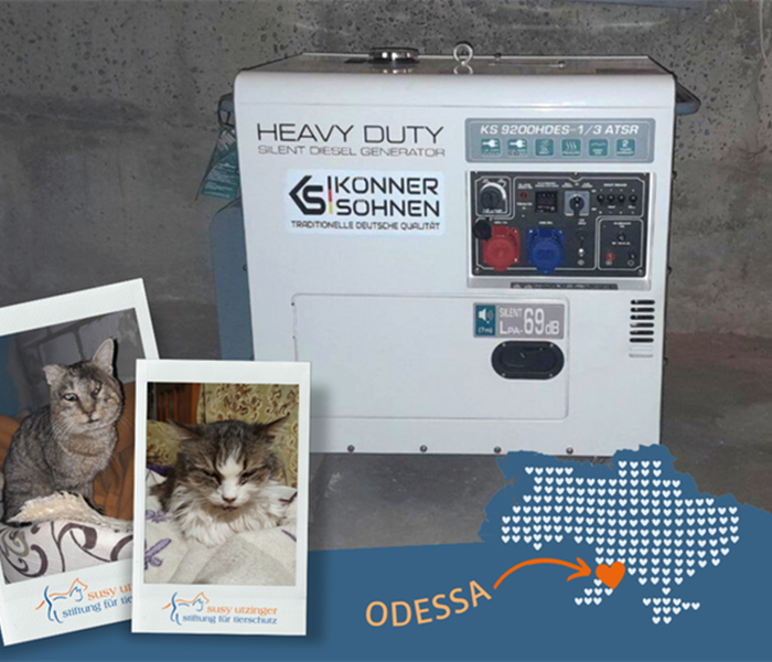 Der Generator ist im Lightshell Shelter in Odessa (UA) angekommen...