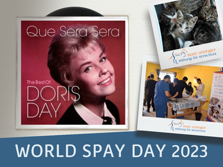 Doris Day hat 1995 den Weltkastrationstag ins Leben gerufen