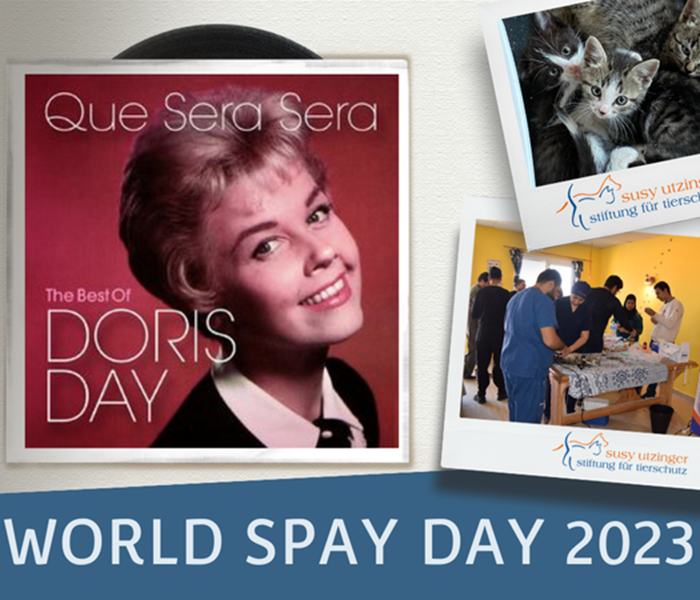 Doris Day launched World Spay Day in 1995