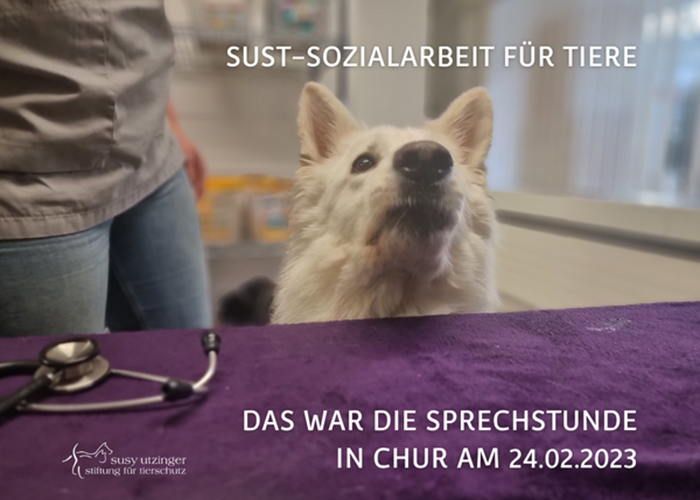 SUST Social work for animals, consultation hours in Chur...