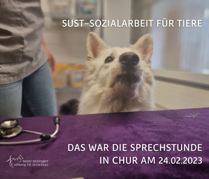 SUST Social work for animals, consultation hours in Chur...