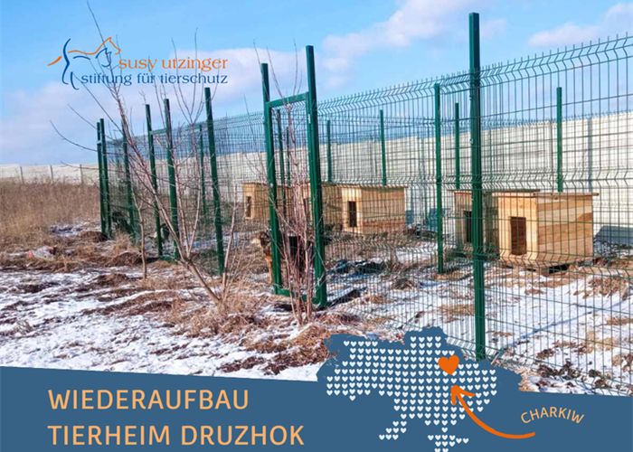 Update aus dem Tierheim Druzhok bei Charkiw, Ukraine