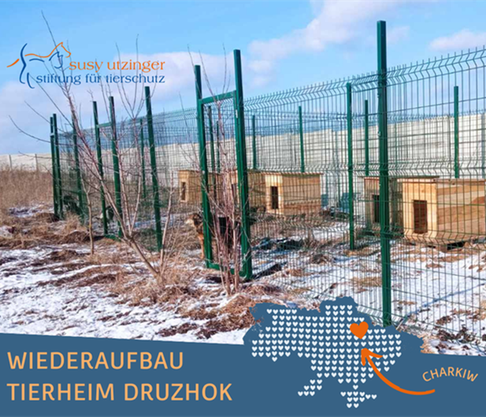 Update aus dem Tierheim Druzhok bei Charkiw, Ukraine