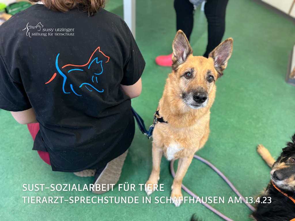 SUST-Sozialarbeit für Tiere in Schaffhausen