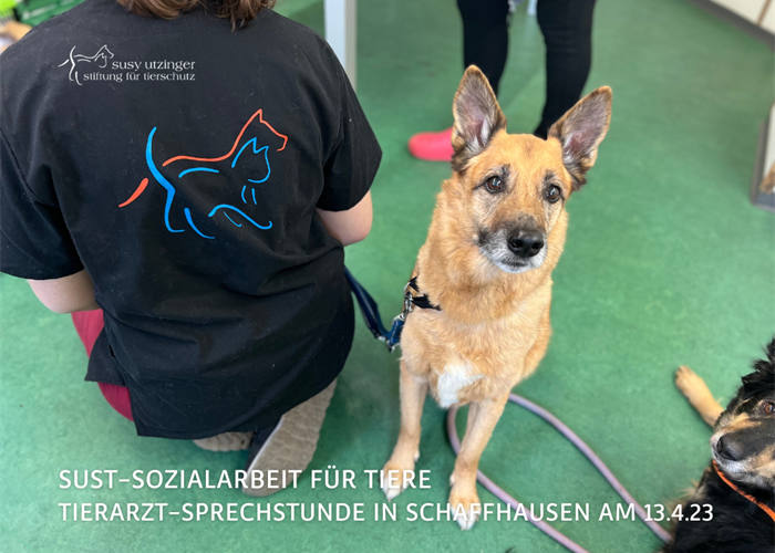 SUST social work for animals in Schaffhausen