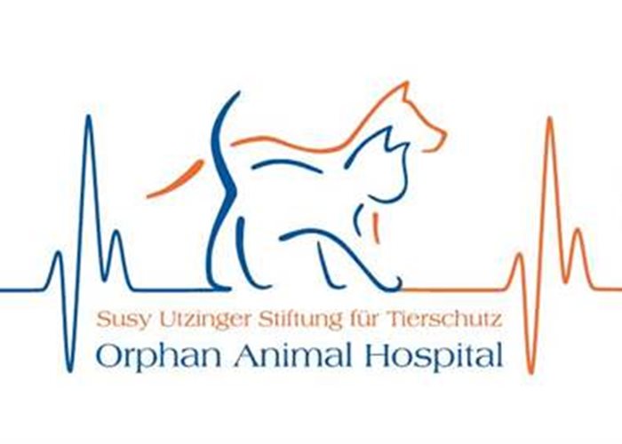 2023, un nouvel hôpital SUST pour les orphelins d'animaux ouvre ses portes
