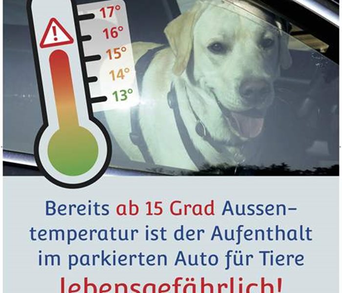 Todesfalle Auto – Ab 15 Grad Aussentemperatur wird es lebensgefährlich für Hunde in parkierten Autos