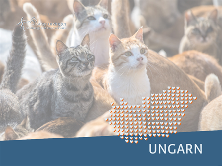 Neutering actions in Hungary