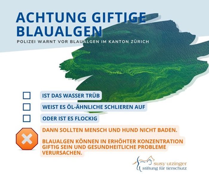 Attention blue-green algae!