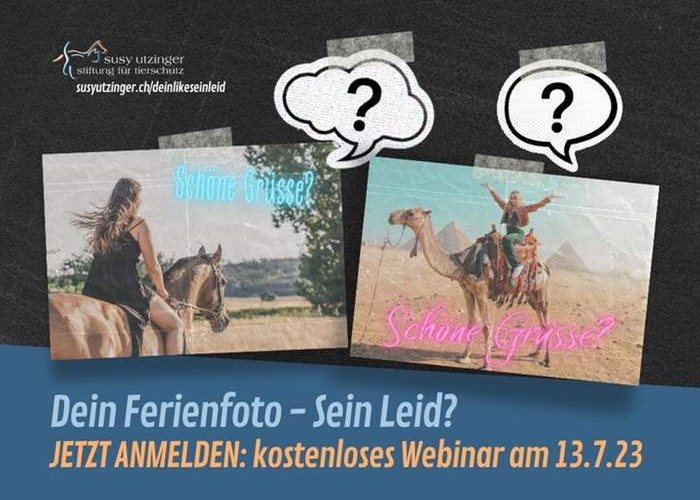Free webinar on July 13, 2023 with Kathrin Strehle....