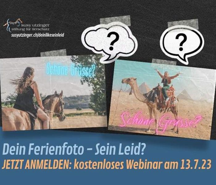 Free webinar on July 13, 2023 with Kathrin Strehle....