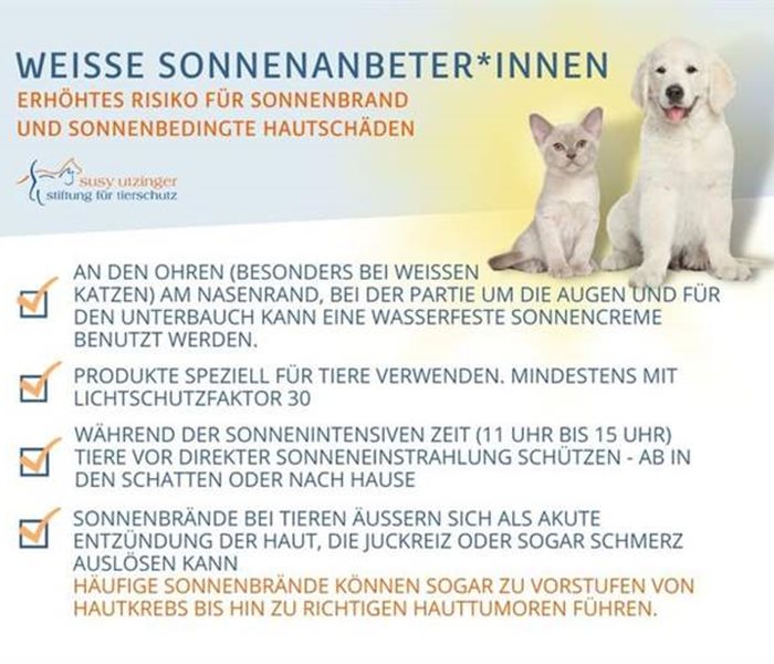 Protect your pet from the sun!