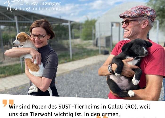 Franziska and Alexander are godparents of the SUST animal shelter in Galati (RO)