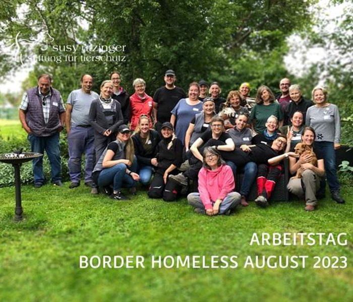 Impressionen vom SUST-Arbeitstag bei Border Homeless im Thurgau