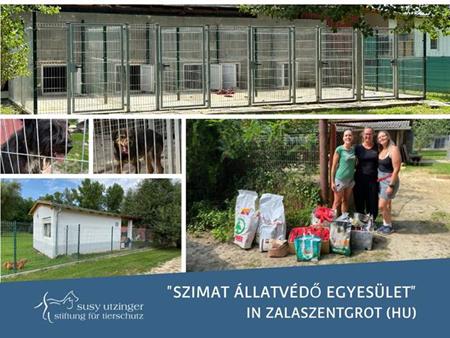 The new puppy station of the Szimat shelter in Hungary,